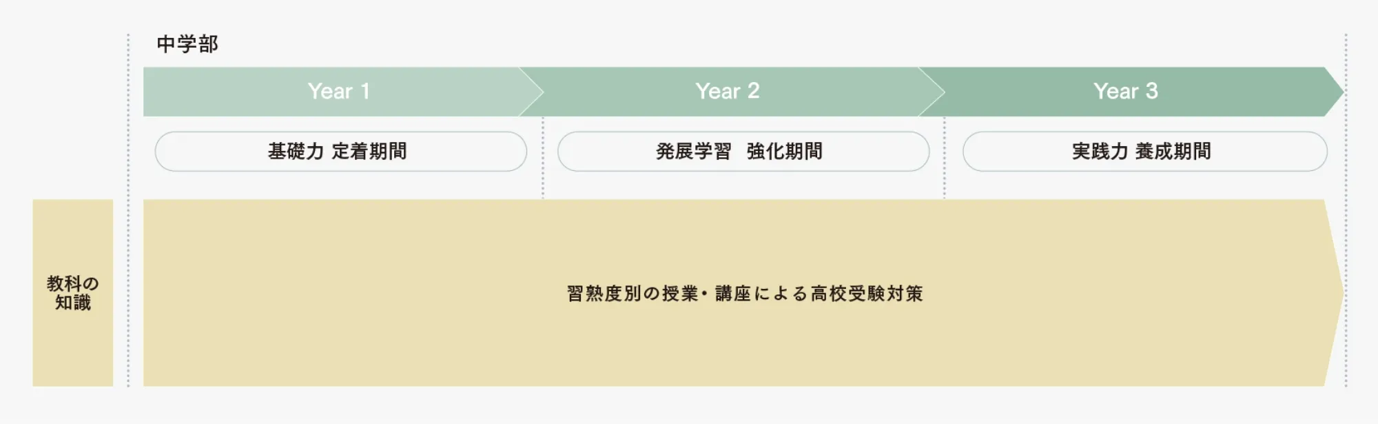 教育段階フロー