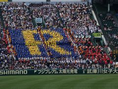 大阪府代表 履正社高校 高校野球 甲子園記念ボール 第86回準優勝