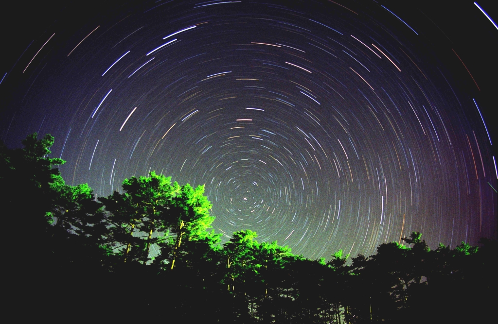 紫金山・アトラス彗星が見えました！