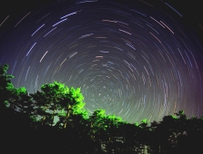 紫金山・アトラス彗星が見えました！