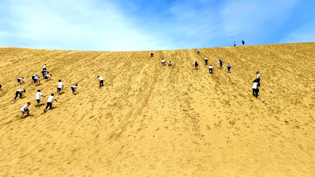 【空手部・女子バレーボール部・軟式野球部・バスケットボール部】運動部合同夏季合宿