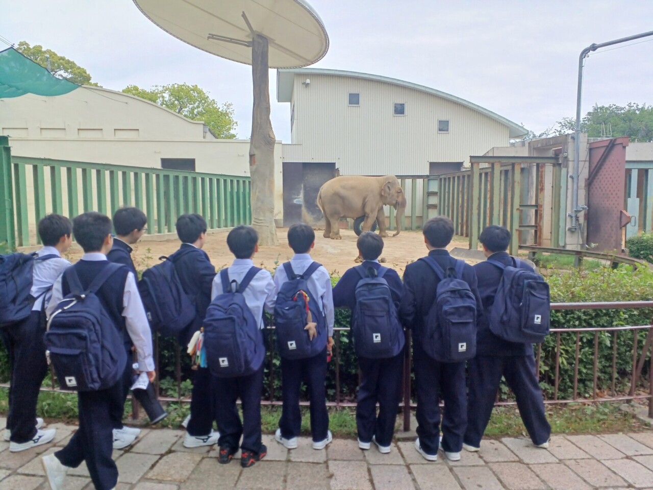 校外学習で神戸に行きました―‘学びをたのしむ’中１生