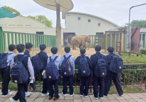 校外学習で神戸に行きました―‘学びをたのしむ’中１生