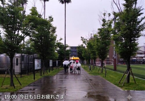 篠ミニ 6.24　せわしい週中日―今日を駆け足で(超ミニ)