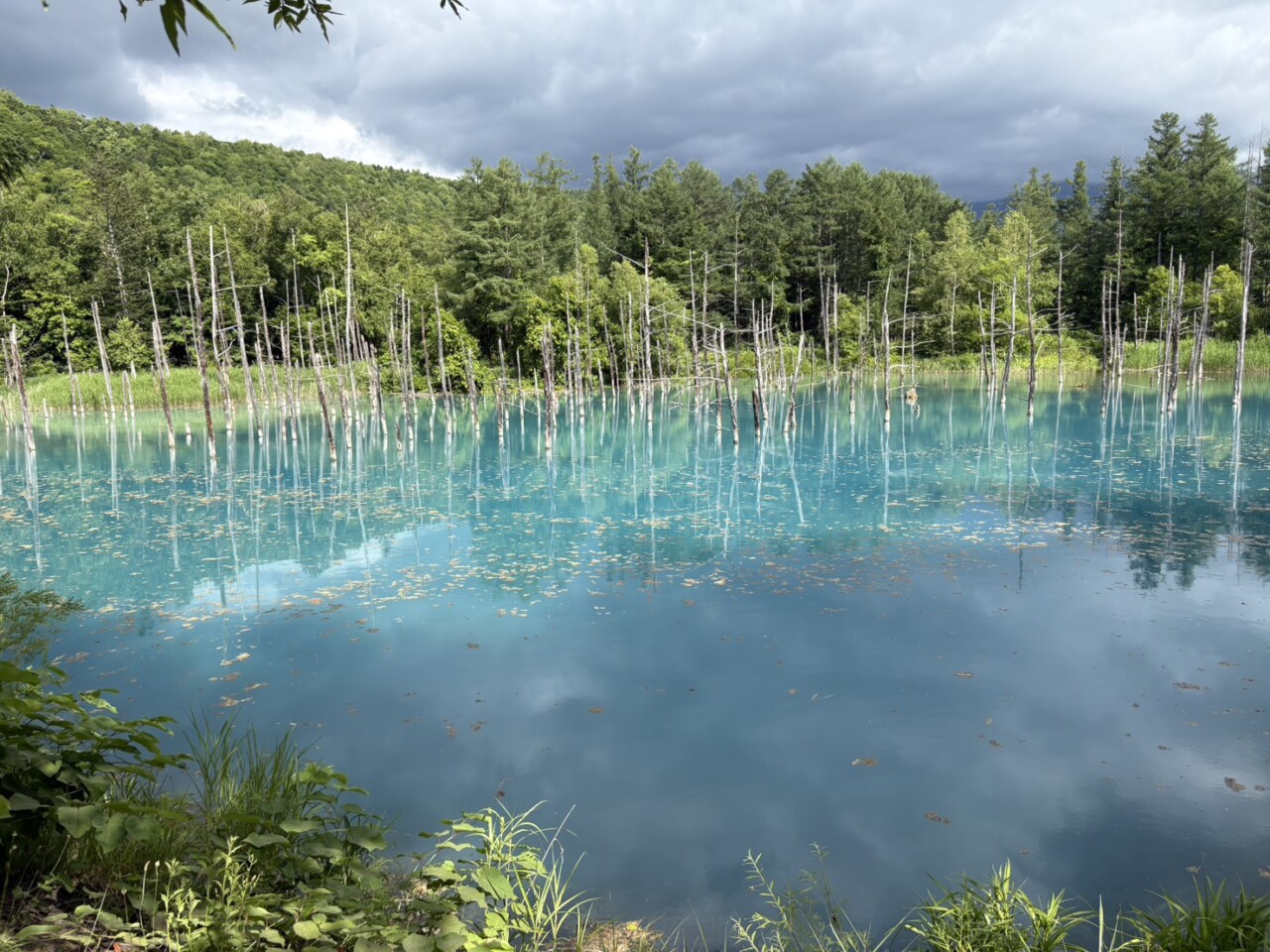 【修学旅行】「北海道方面」（１･２日目）