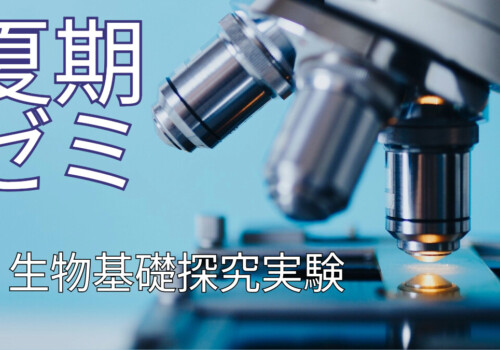 夏期ゼミ紹介