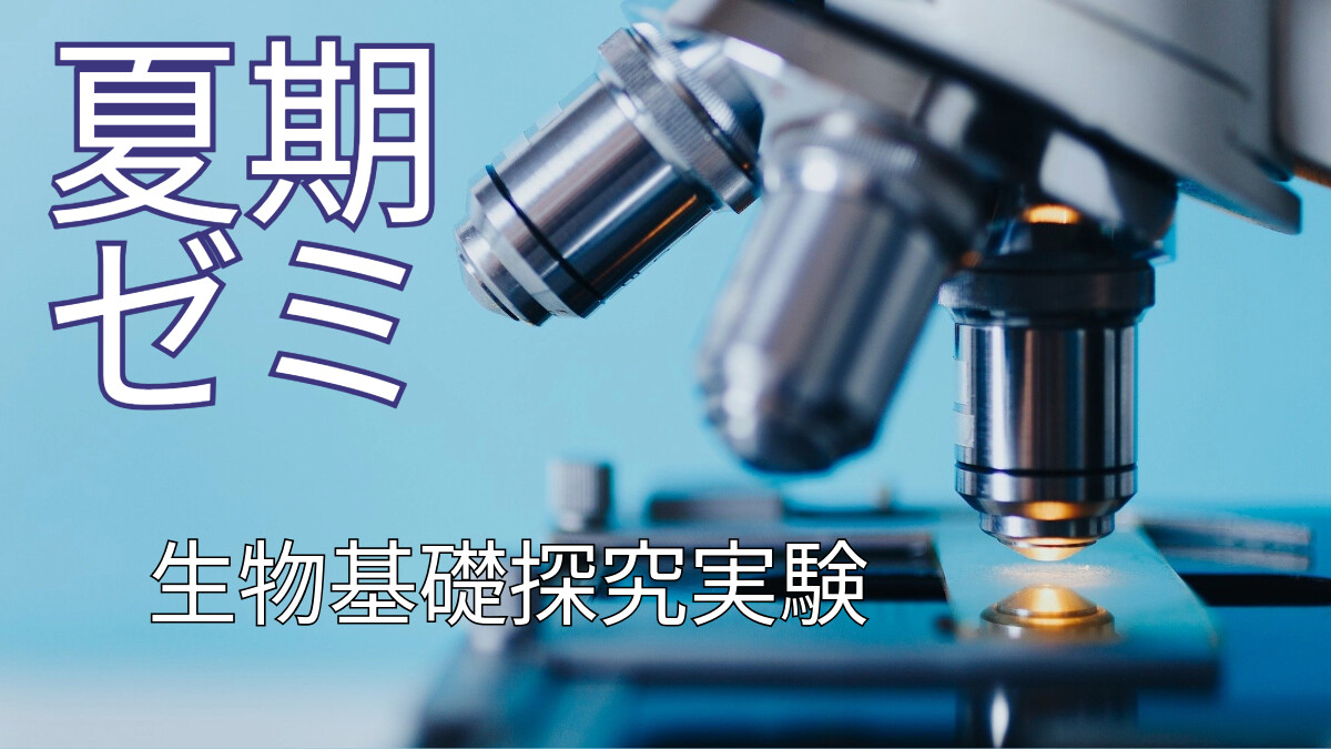 夏期ゼミ紹介